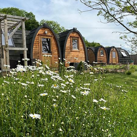 Hedgehog Glamping Pod School House Farm Hotell Leighton  Exteriör bild